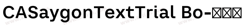 CASaygonTextTrial Bo字体转换